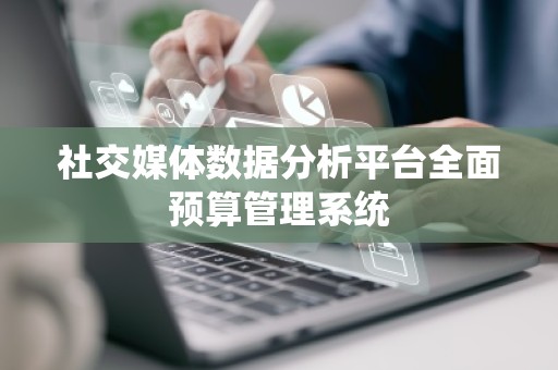 社交媒体数据分析平台全面预算管理系统