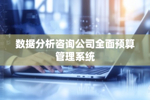 数据分析咨询公司全面预算管理系统