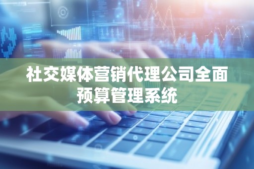 社交媒体营销代理公司全面预算管理系统