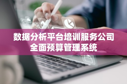 数据分析平台培训服务公司全面预算管理系统