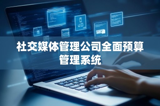 社交媒体管理公司全面预算管理系统