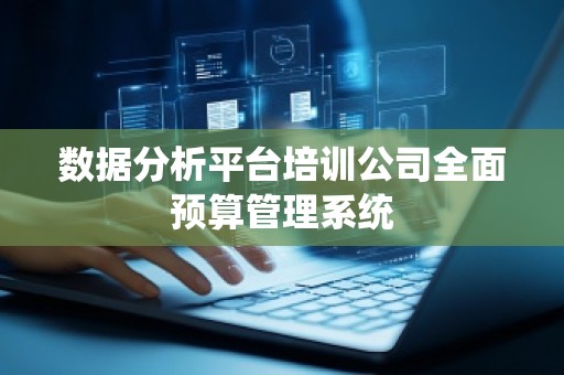 数据分析平台培训公司全面预算管理系统