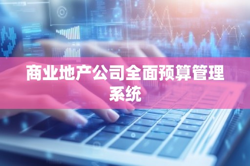 商业地产公司全面预算管理系统